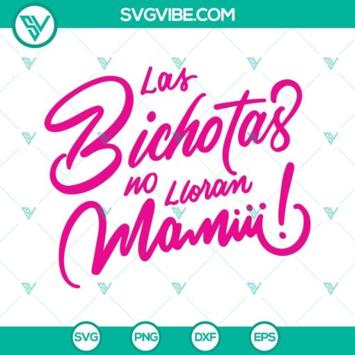 las bichotas no lloran mamiii svg karol g svg for cricut and cameo 7 mockup