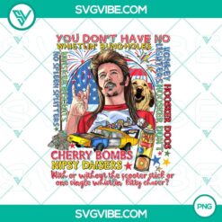 Joe Dirt themed 4th of July firework quote PNG designs with "You Don't Have No" text. Vintage, humorous design. Perfect for Independence Day.