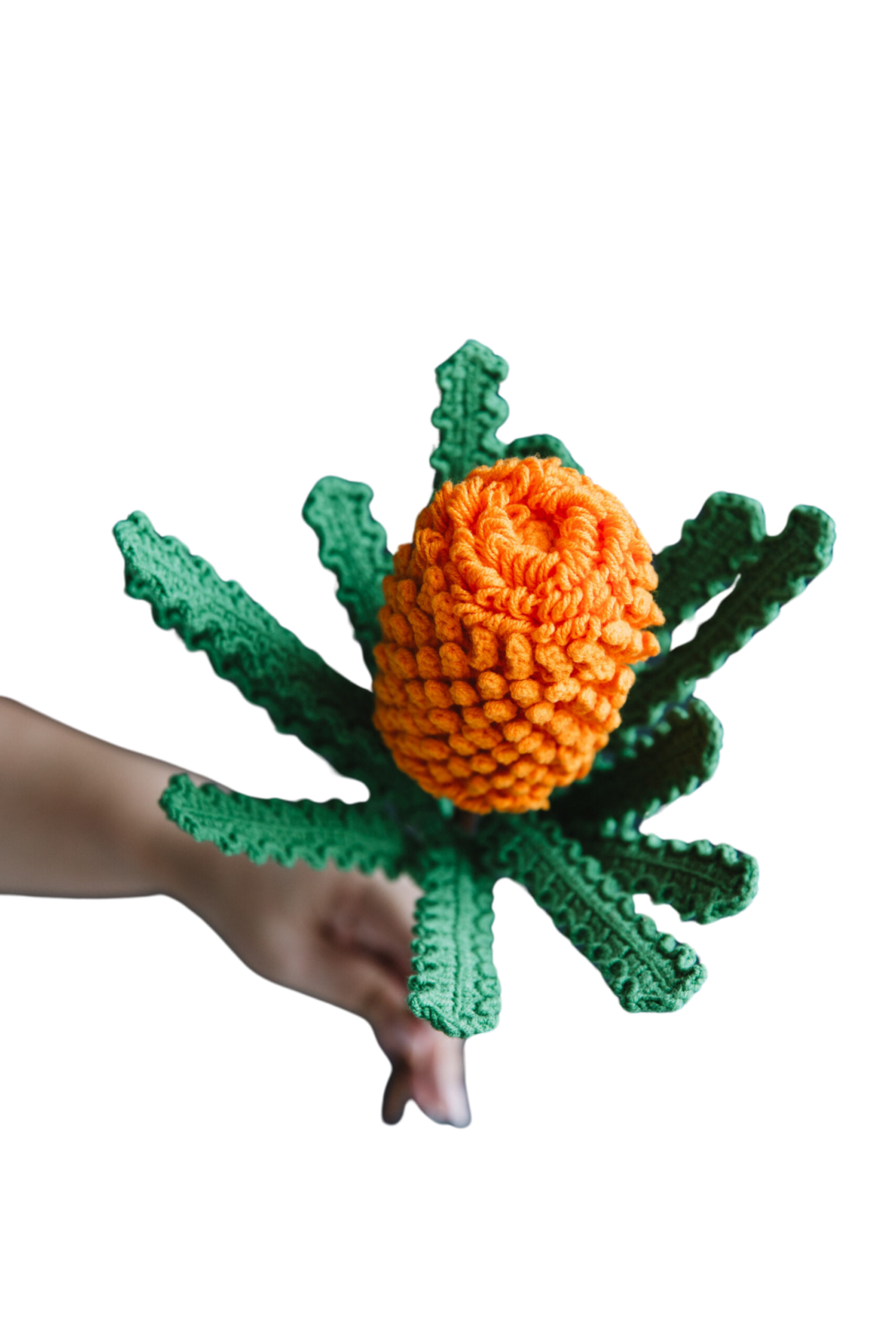 Crochet Banksia Ericifolia - PDF Pattern with Free Video Tutorial