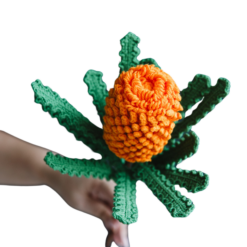 Crochet Banksia Ericifolia - PDF Pattern with Free Video Tutorial