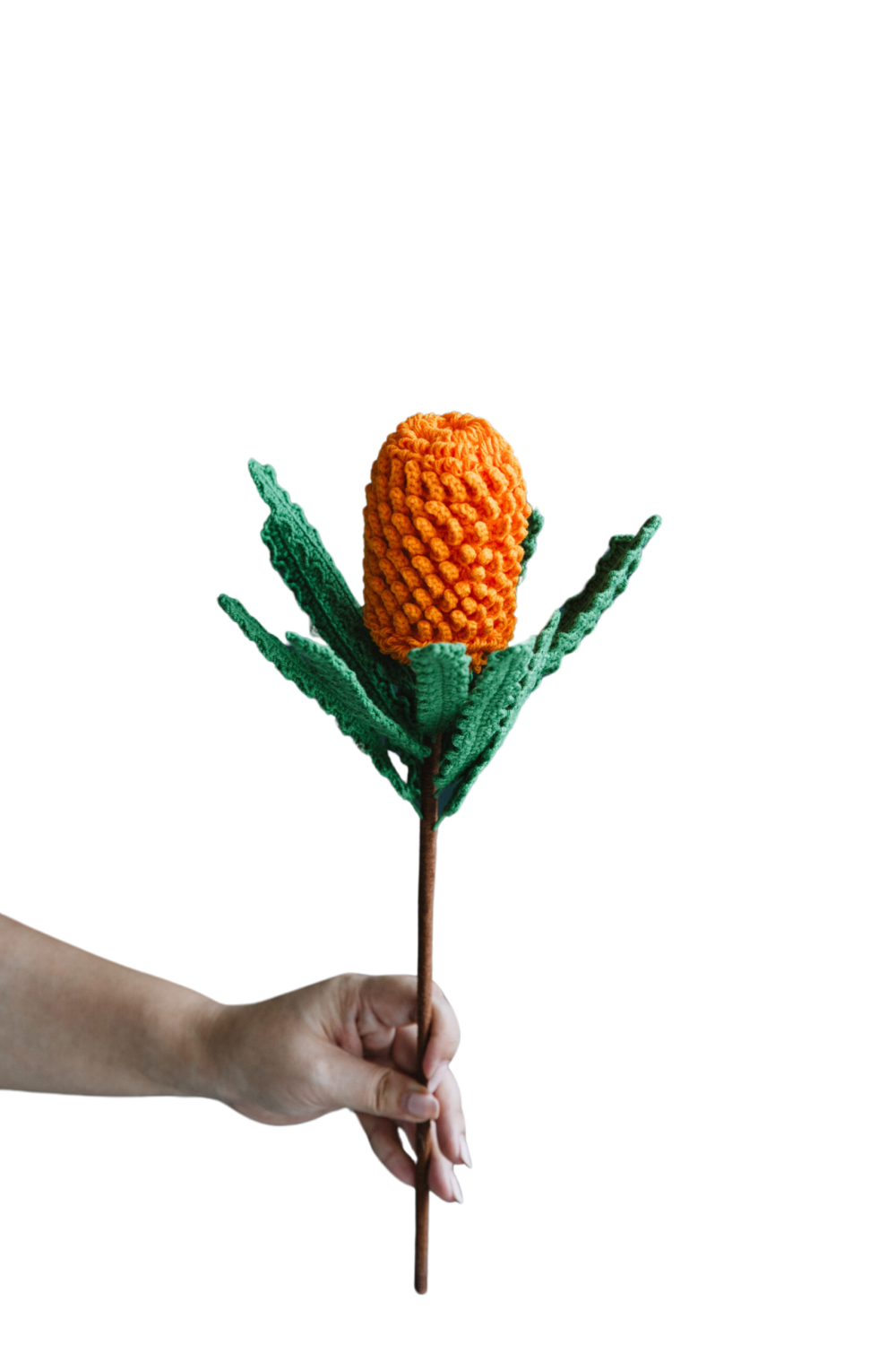 Crochet Banksia Ericifolia - PDF Pattern with Free Video Tutorial