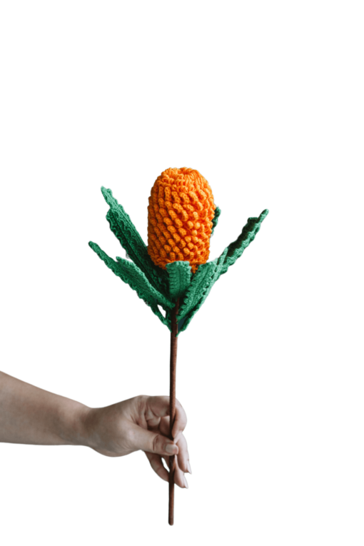 Crochet Banksia Ericifolia - PDF Pattern with Free Video Tutorial