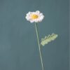 Crochet chamomile PDF pattern with complimentary video tutorial for DIY projects.