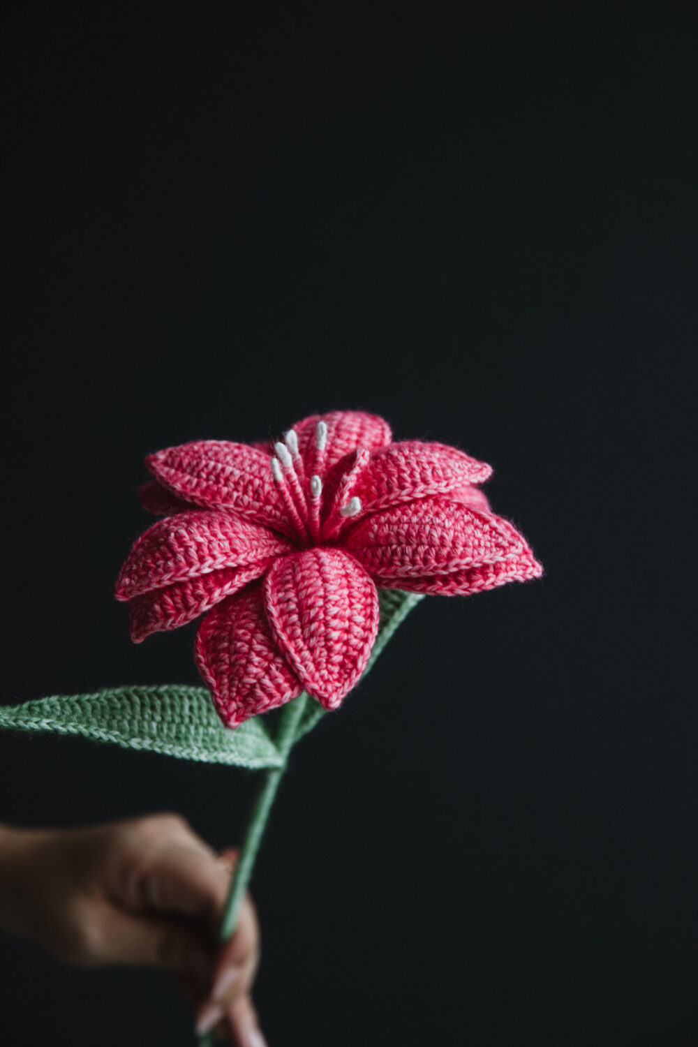 Crochet Double Hippeastrum - PDF Pattern with Free Video Tutorial