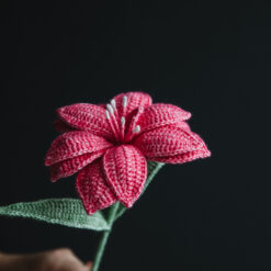 Crochet Double Hippeastrum - PDF Pattern with Free Video Tutorial