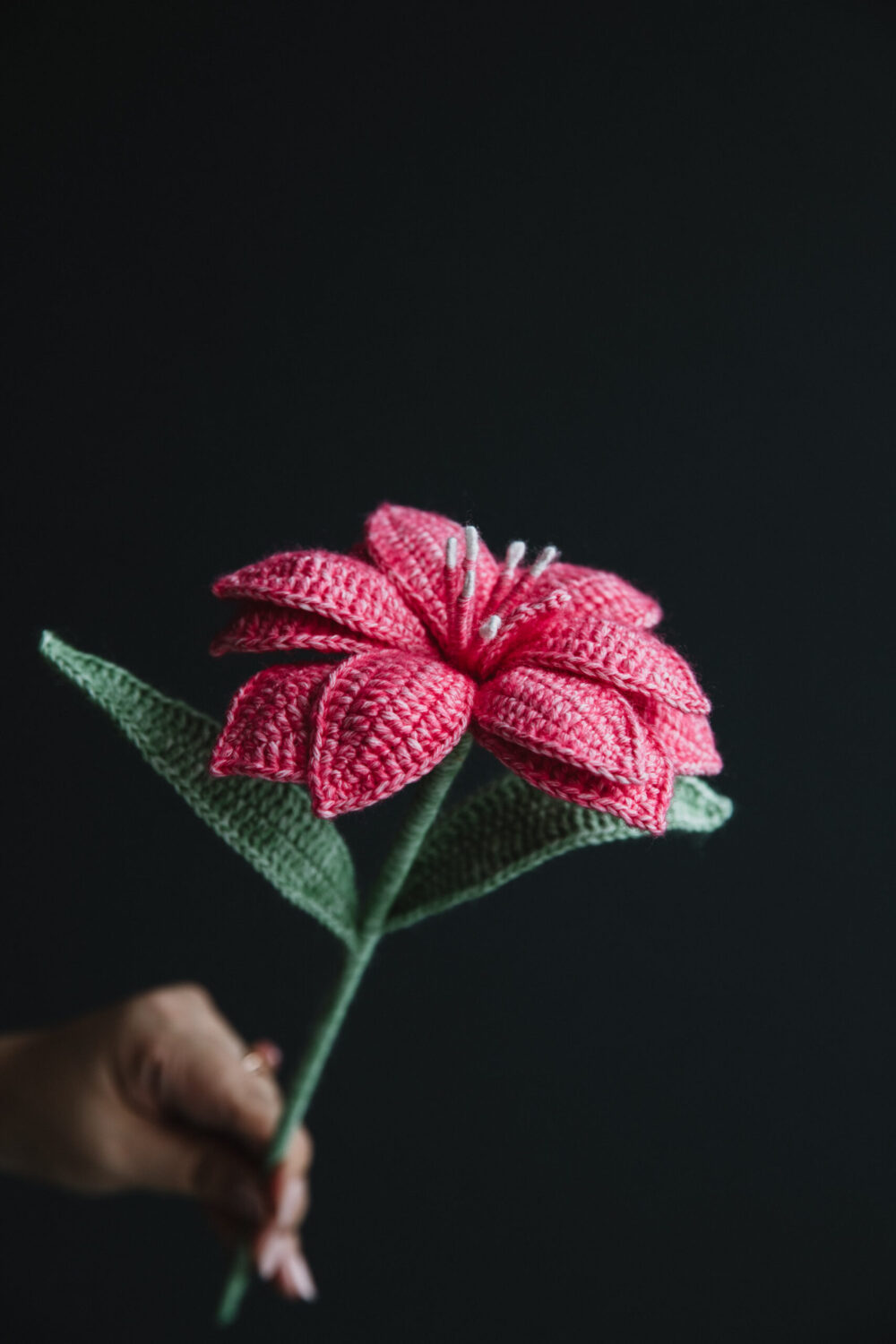 Crochet Double Hippeastrum - PDF Pattern with Free Video Tutorial