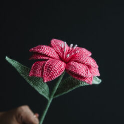 Crochet Double Hippeastrum - PDF Pattern with Free Video Tutorial