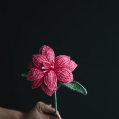 Crochet Double Hippeastrum - PDF Pattern with Free Video Tutorial