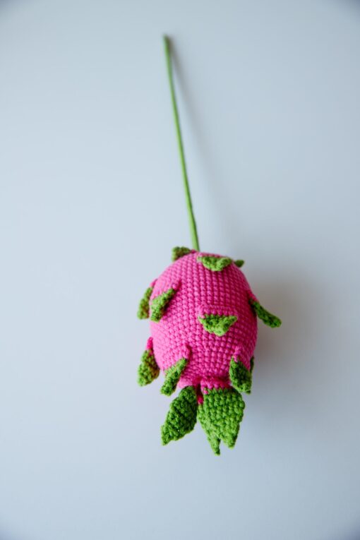 Crochet Dragon Fruit - PDF Pattern with Free Video Tutorial