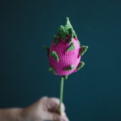 Crochet Dragon Fruit - PDF Pattern with Free Video Tutorial