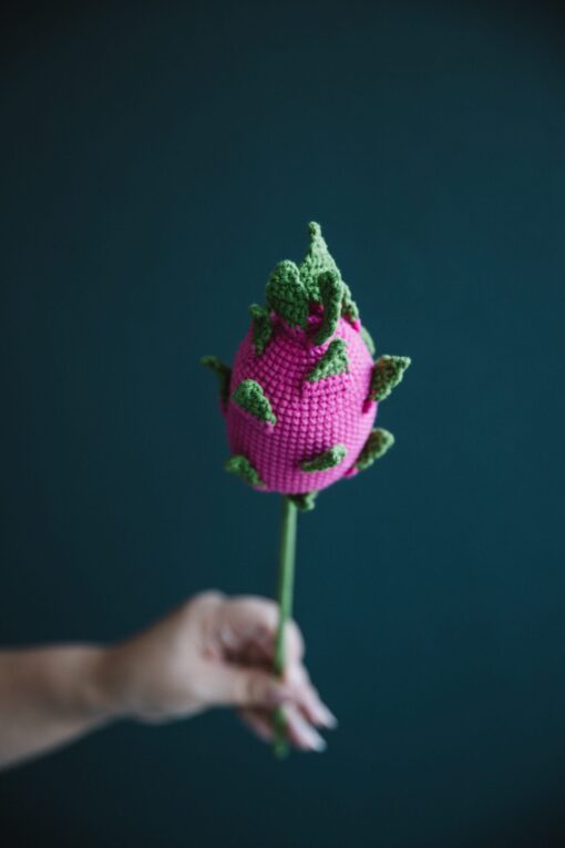 Crochet Dragon Fruit - PDF Pattern with Free Video Tutorial