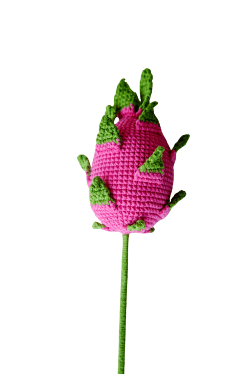 Crochet Dragon Fruit - PDF Pattern with Free Video Tutorial