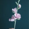 Crochet Gladiolus PDF pattern with free video tutorial, detailed step-by-step instructions for creating a beautiful flower.