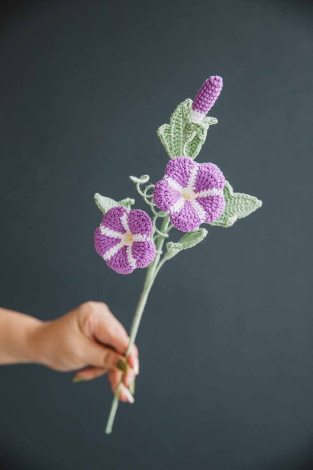 Crochet Morning Glory - PDF Pattern with Free Video Tutorial