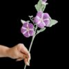Crochet Morning Glory PDF pattern with free video tutorial, floral design, DIY crochet project.
