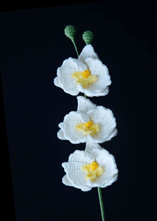 Crochet Moth Orchid - PDF Pattern with Free Video Tutorial