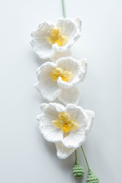 Crochet Moth Orchid - PDF Pattern with Free Video Tutorial