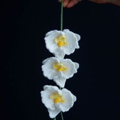 Crochet Moth Orchid - PDF Pattern with Free Video Tutorial