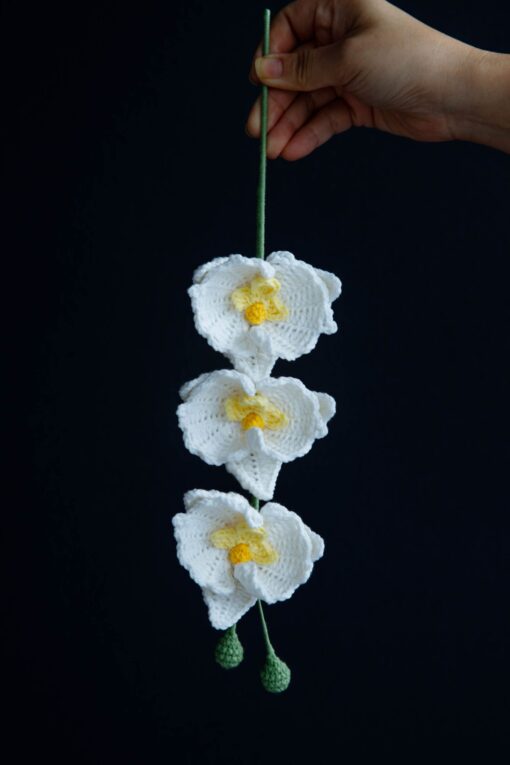 Crochet Moth Orchid - PDF Pattern with Free Video Tutorial