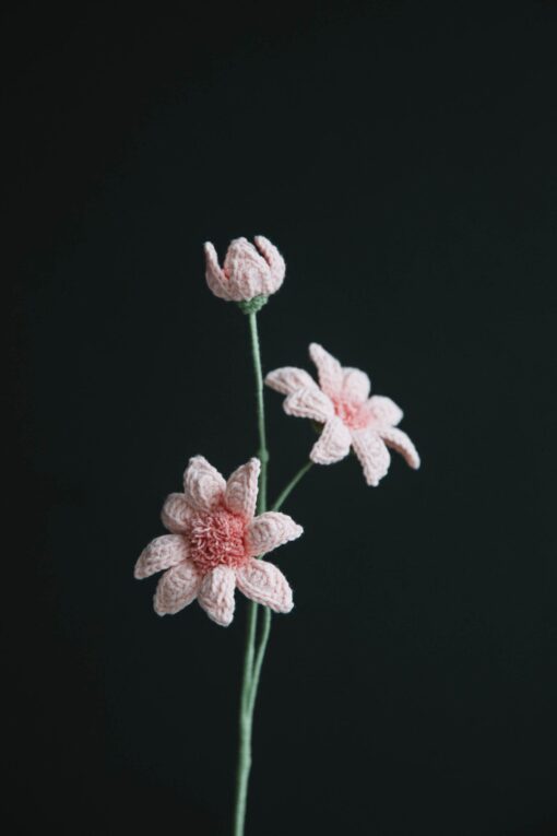 Crochet Osteospermum Flower - PDF Pattern with Free Video Tutorial