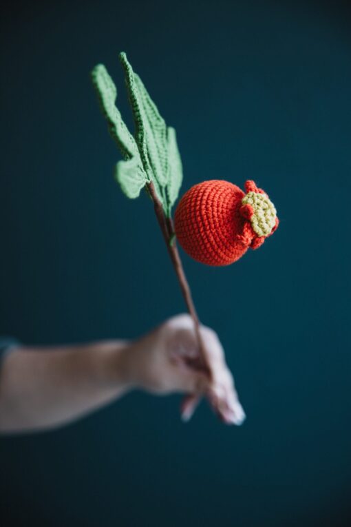 Crochet Pomegranate Branch - PDF Pattern with Free Video Tutorial