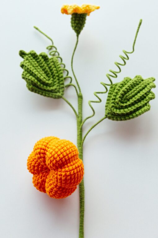 Crochet Pumpkin Branch - PDF Pattern with Free Video Tutorial