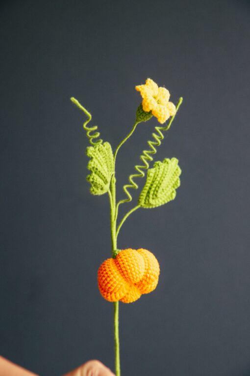 Crochet Pumpkin Branch - PDF Pattern with Free Video Tutorial