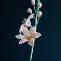 Crochet Renanthera Coccinea - PDF Pattern with Free Video Tutorial