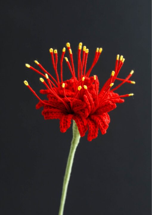 Crochet Spider Lily - PDF Pattern with Free Video Tutorial