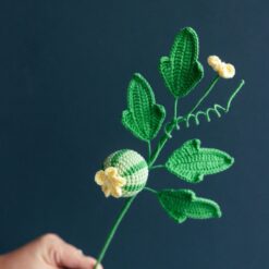 Crochet Watermelon Branch PDF Pattern with Free Video Tutorial for making a crochet watermelon branch with leaves and fruits.