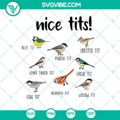 Funny Birds SVG Collection: Nice Tits Png, Great Tit Bird Enthusiast Gift - Instant Download