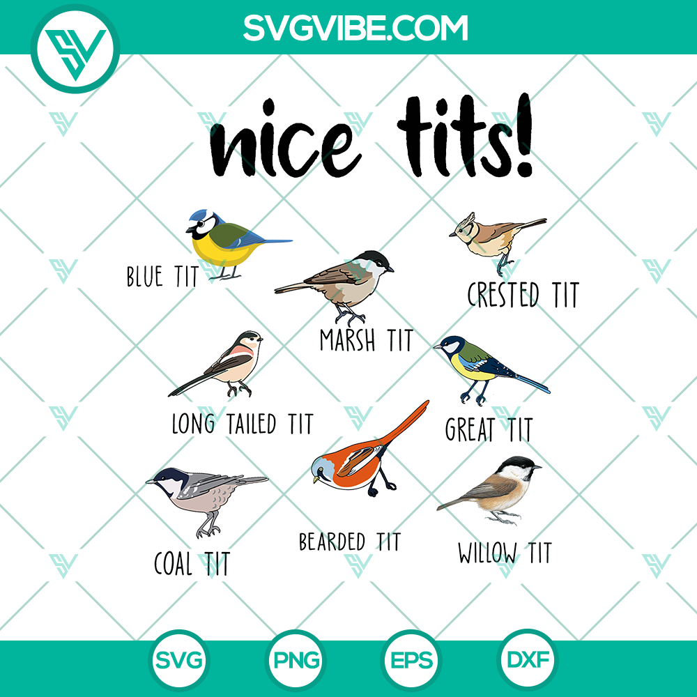mockup-163571433.jpg Funny Birds SVG Collection: Nice Tits and Great Tit bird designs for enthusiasts. Perfect gift. Instant download.